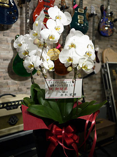 開店祝いのお花ありがとうございます。