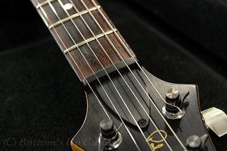 PRS EG II 3 x Lindy Fralin Zero Noise Domino - 3 Tone Sunburst