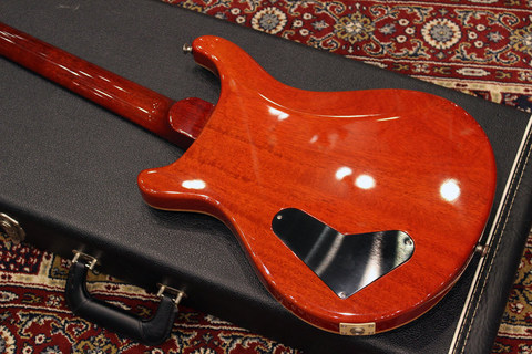 Cu22_12Strings_Back.jpg