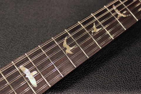 Cu22_12Strings_Bird.jpg