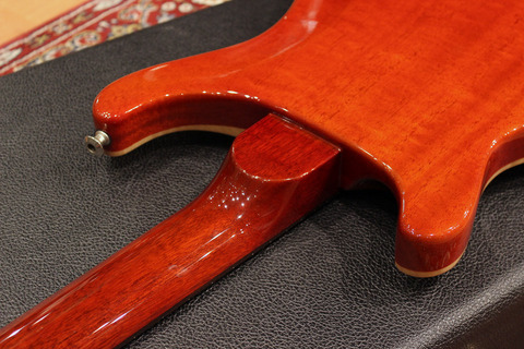 Cu22_12Strings_Neck.jpg