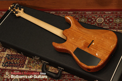 DTM_Exotic_Wood_Collection_Burl_Maple_Backmain.jpg