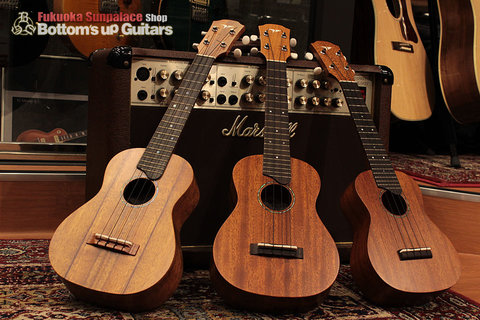 FT_Ukulele.jpg
