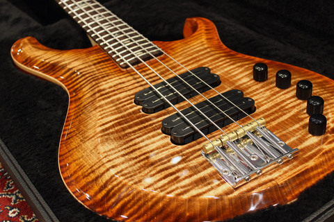 GG_BASS4_AS_01.jpg