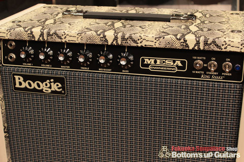 Mesa_Kingsnake_02.jpg
