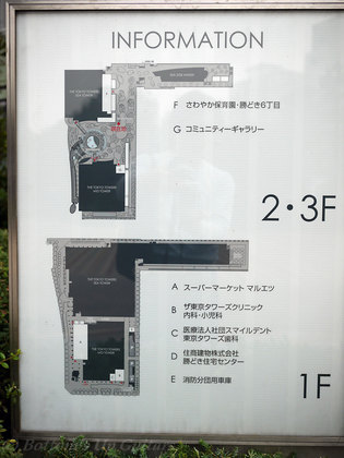 P1080487.jpg