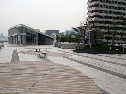 P1080506.jpg