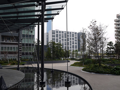 P1080511-2.jpg