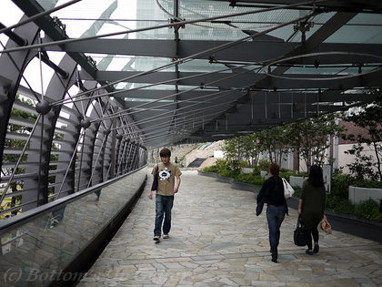 P1080514.jpg