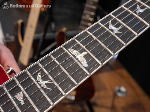 P245_AP_NAMM_DCS_FB.jpg