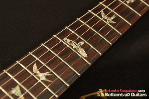 P24AP_EZ_NAMM_FB.jpg