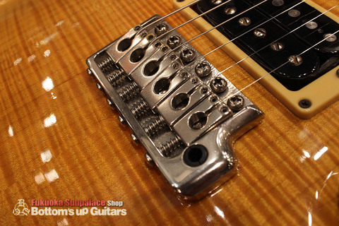 PRS_1PBridge.jpg