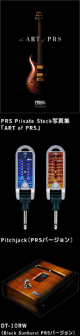 PRS_DT10.jpg