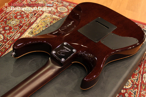 Ts_Guitars_DST-Pro24_Mahogany_Limited_SafariBurst_Honduras_Back02.jpg