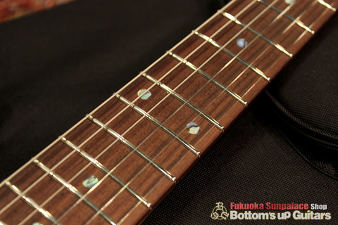 Ts_Guitars_DSTC22R_Flare_Flourite_Rosewood_FB.jpg