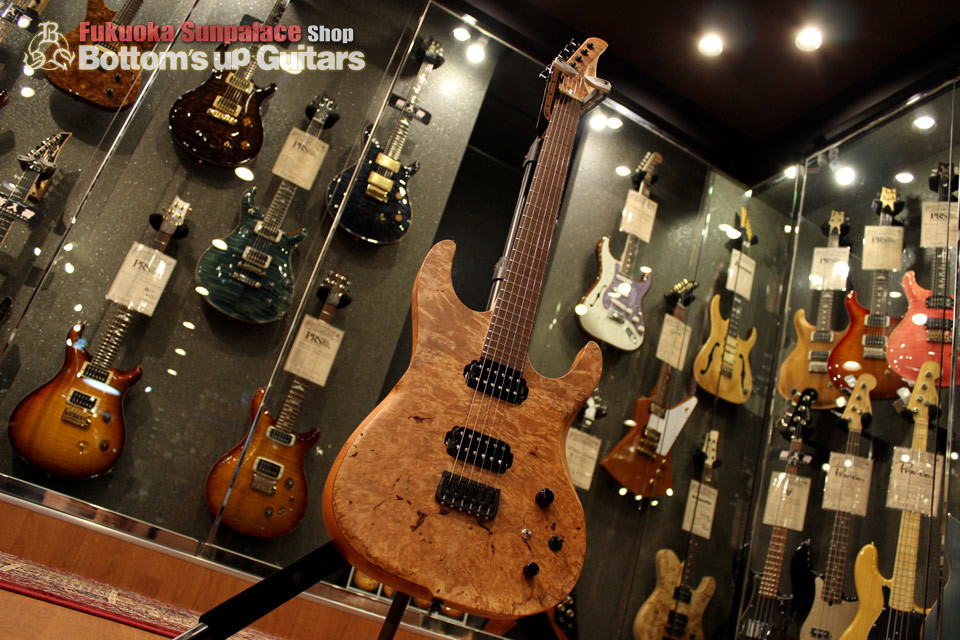 福岡店 新入荷情報《dragonfly Sottile Custom 666 -Burl Maple